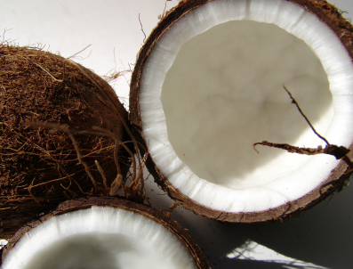 coconut