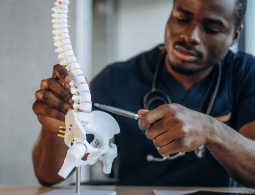 Nervous System First: How Chiropractic Care Helps Your Body Heal and Thrive